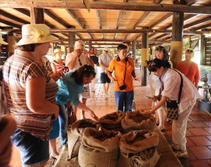 Prochain Festival du café de Buôn Ma Thuôt en mars